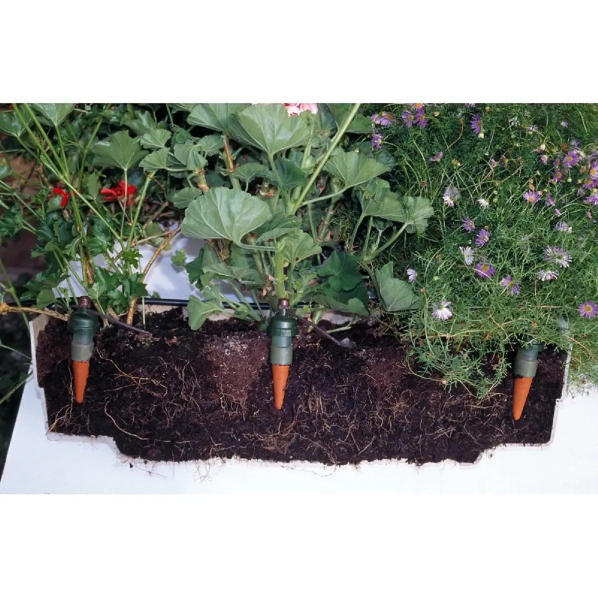 Sonde d'arrosage automatique Blumat Tropf Maxi 2Pcs