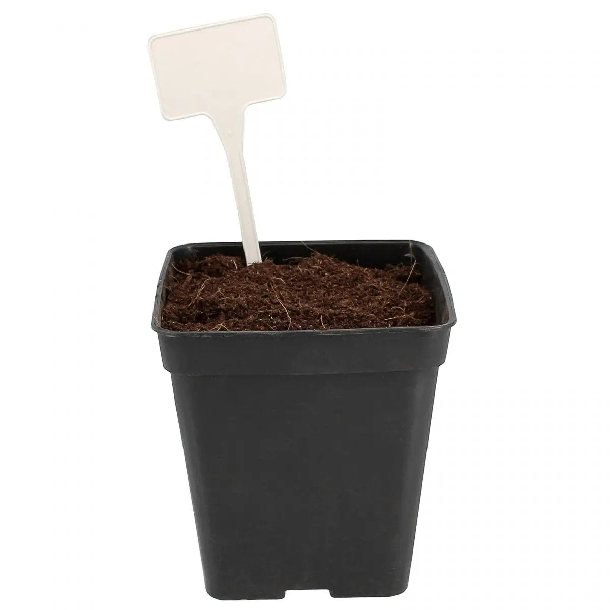 Etiquettes blanche en Plastique solide -10Pcs