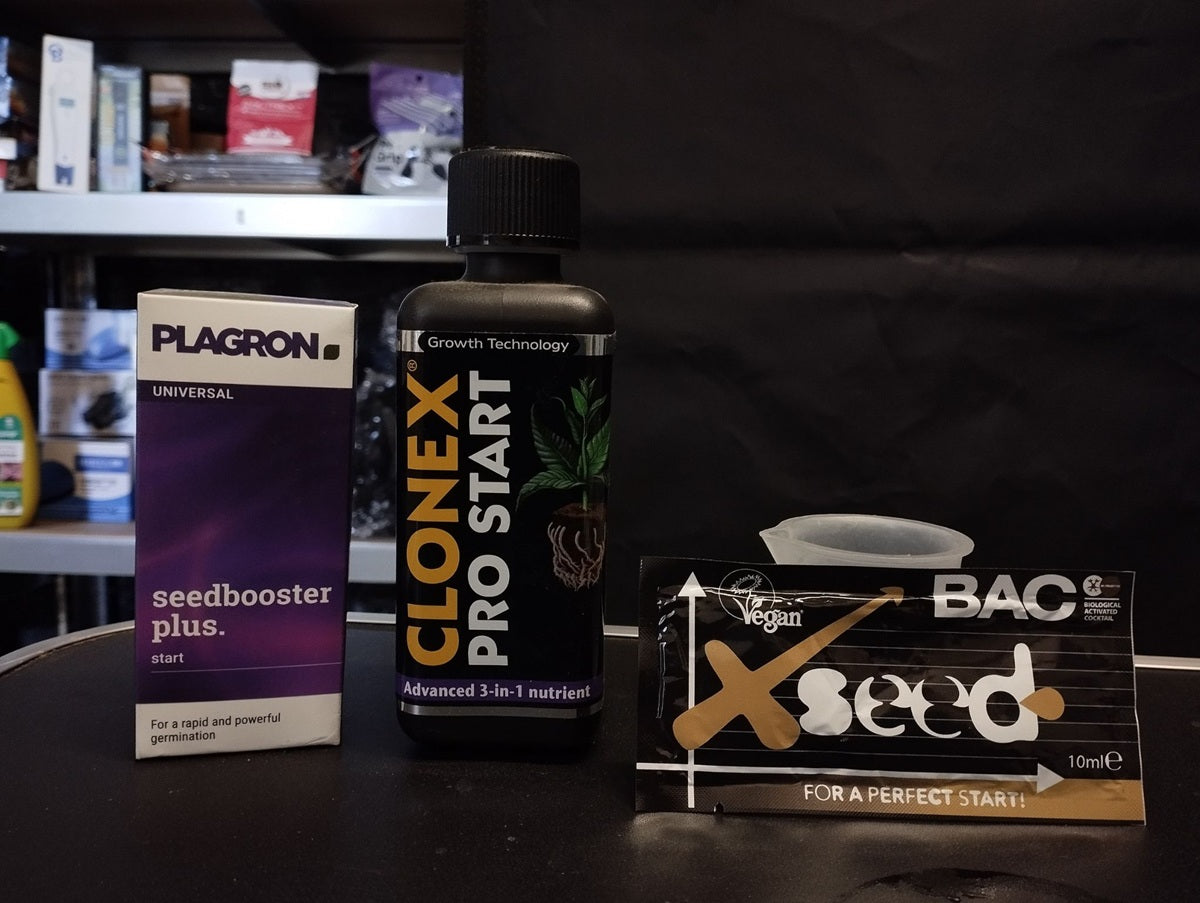 Comparatif de stimulateurs de germination : Plagron Seedbooster Plus, Clonex Pro Start, et BAC Xseed pour semis de piments