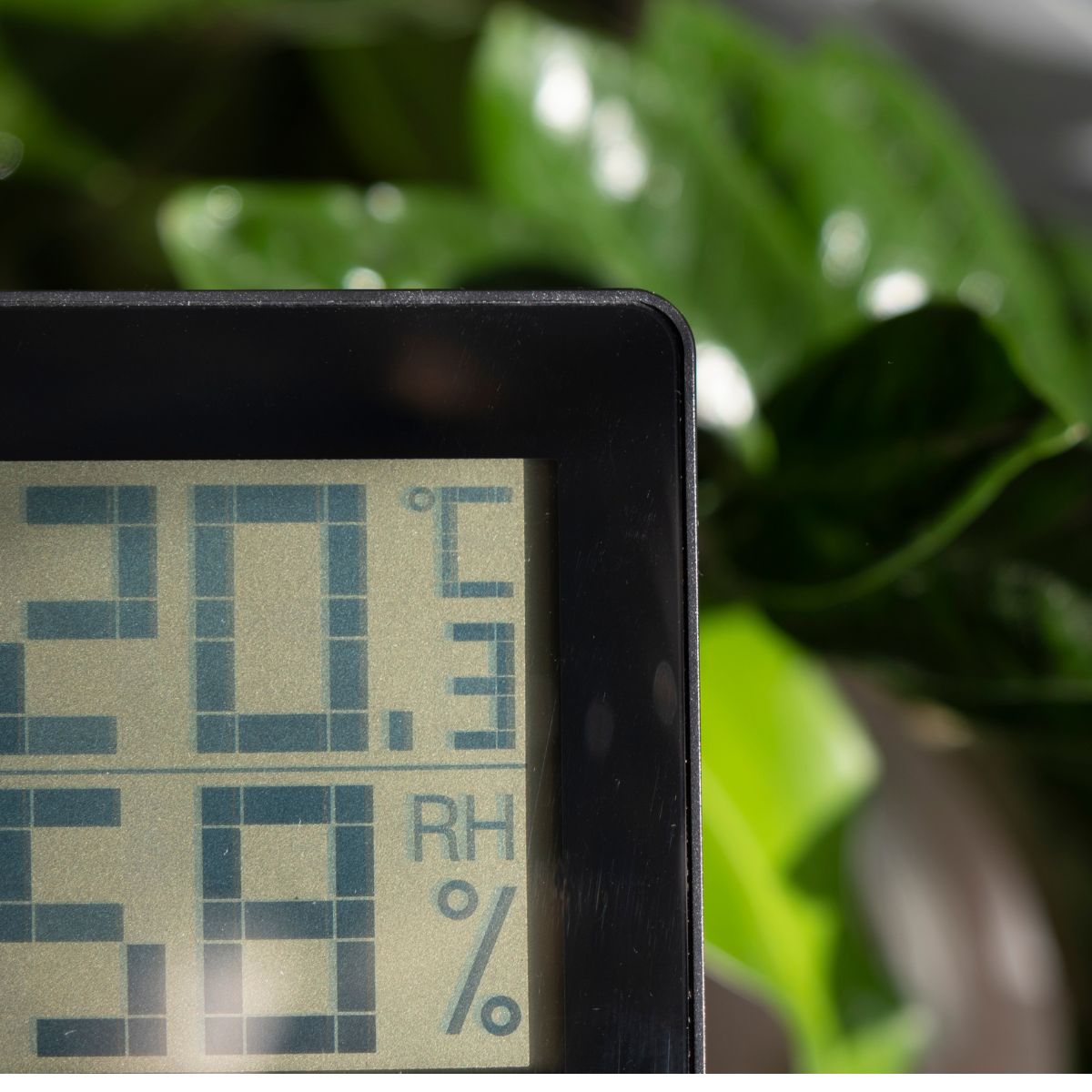 Image montrant un thermomètre-hygromètre posé sur une table, avec des plantes en pot en arrière plan