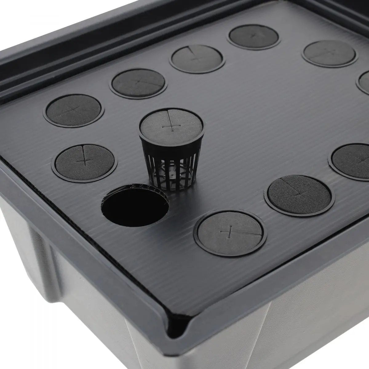 X-Stream 12 - Propagateur aéroponique pour 12 plantes