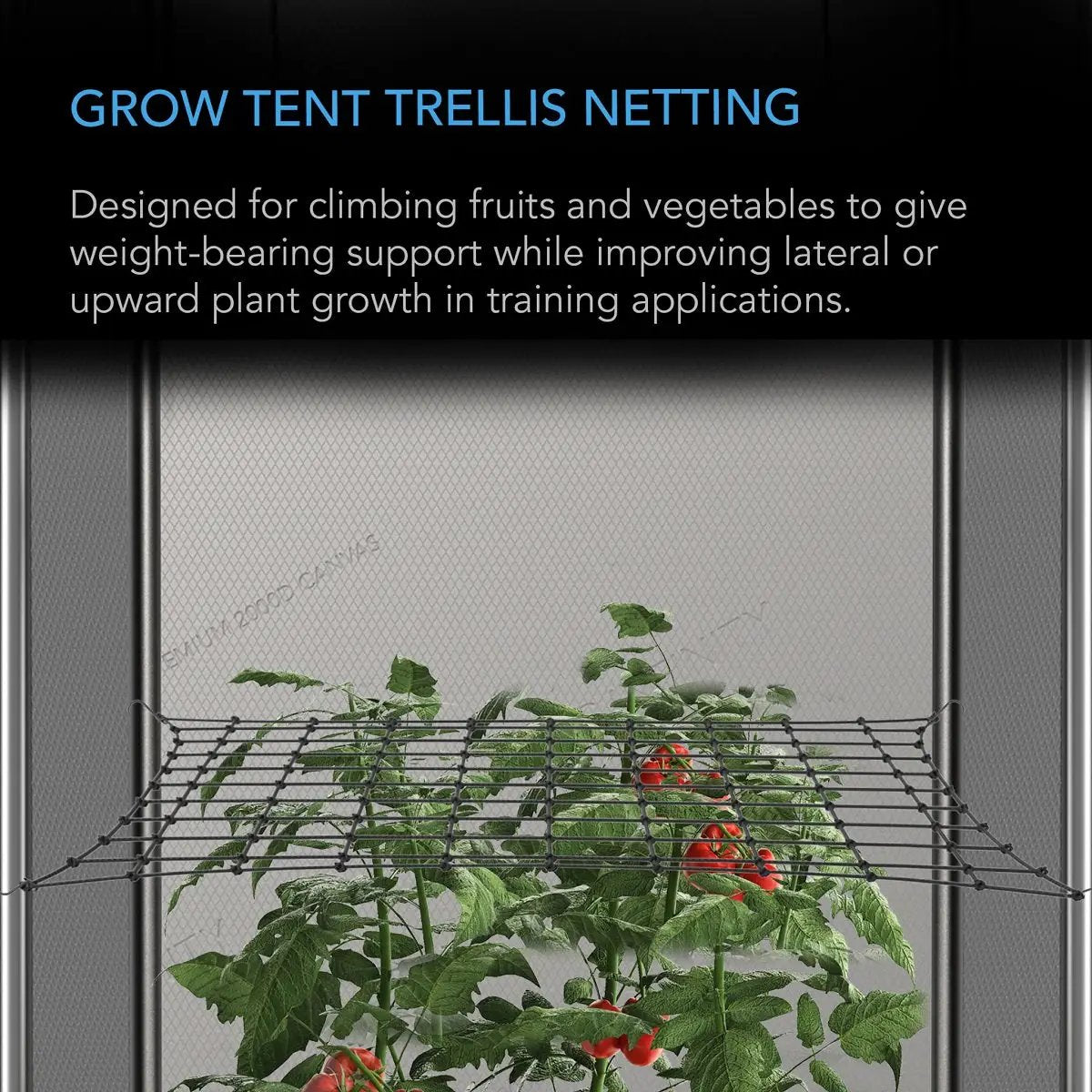 Filet de palissage pour tente de culture avec plantes