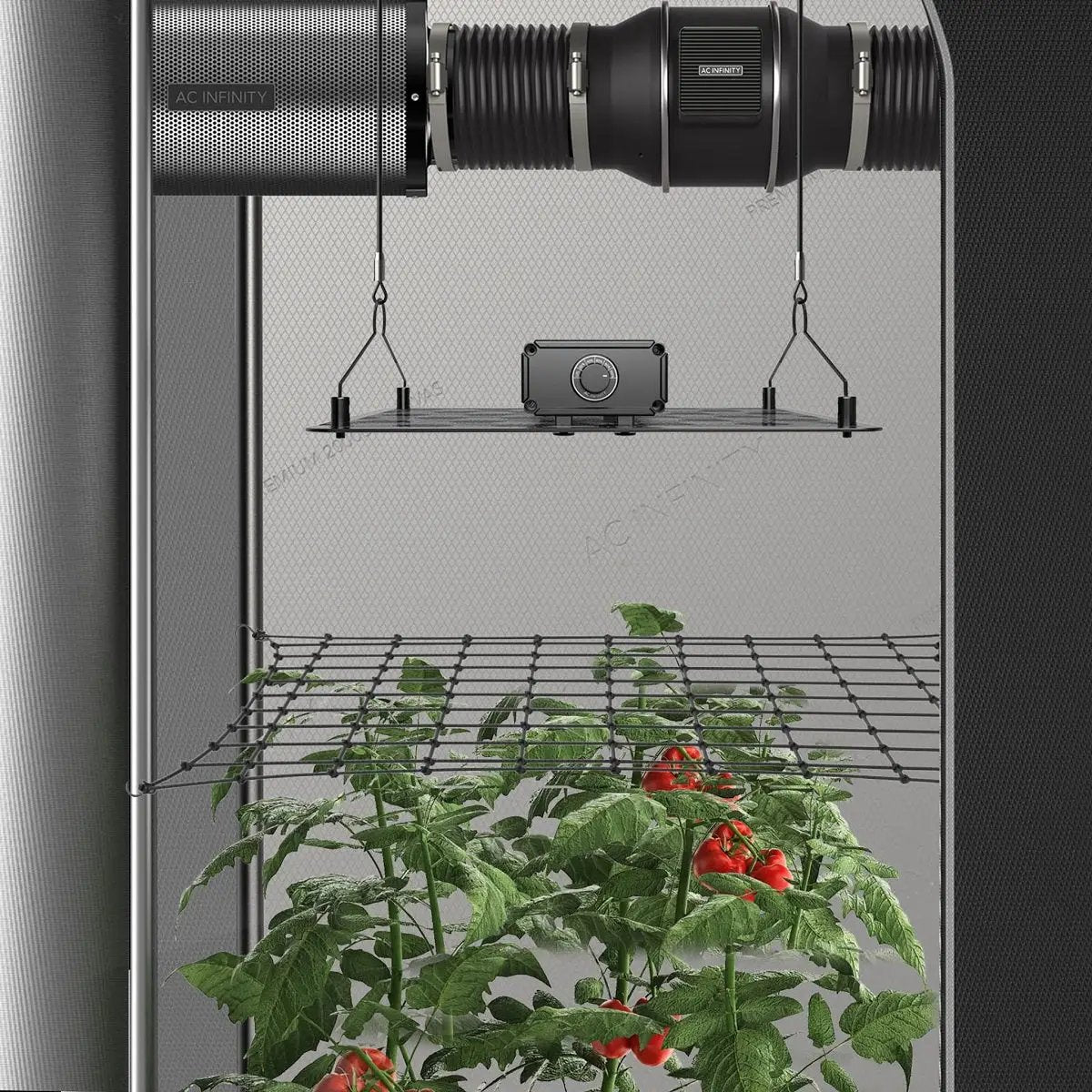 Filet de palissage AC Infinity installé en tente de culture