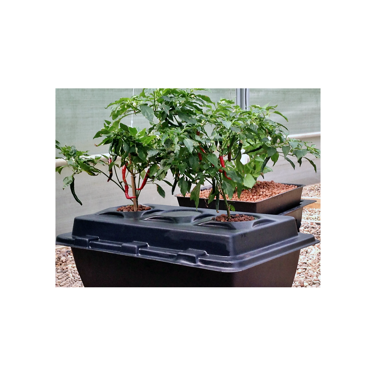 Système DWC Oxypot XL