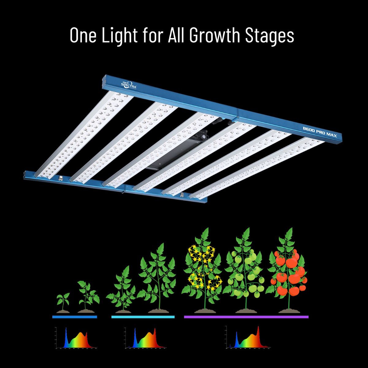 Lampe HortiSpectra B600 PRO MAX 720W LED adaptée à toutes les phases de croissance des plantes avec spectre complet UV-IR pour culture indoor.