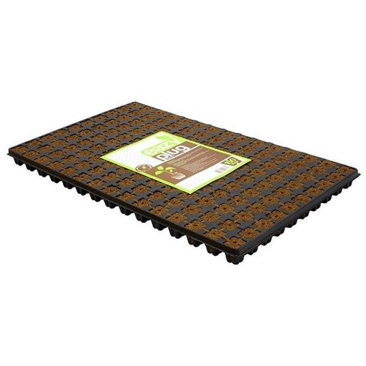 Eazy Plug plateau de cubes à germination 150 Pcs