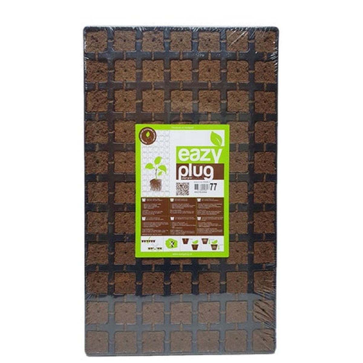 Eazy Plug plateau de cubes à germination 77 Pcs